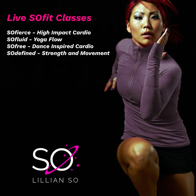 SOfit_classes SOfit_classes