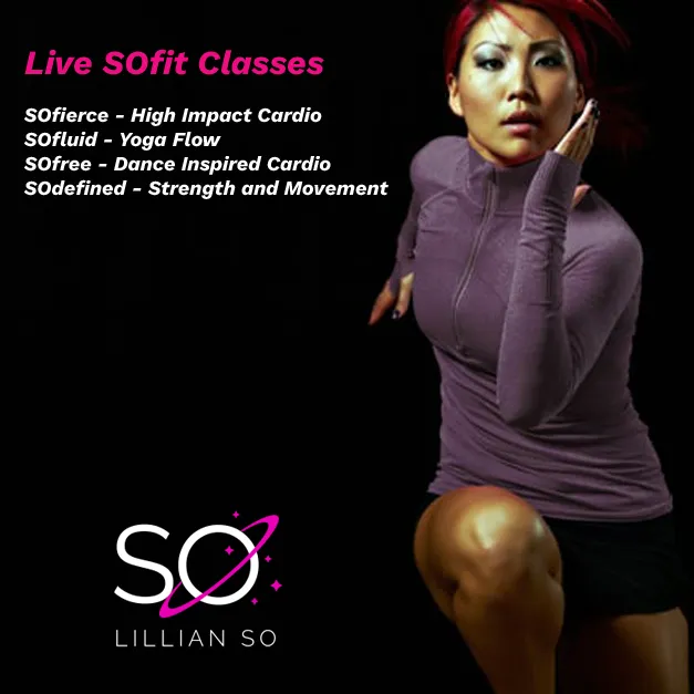 SOfit_classes SOfit_classes